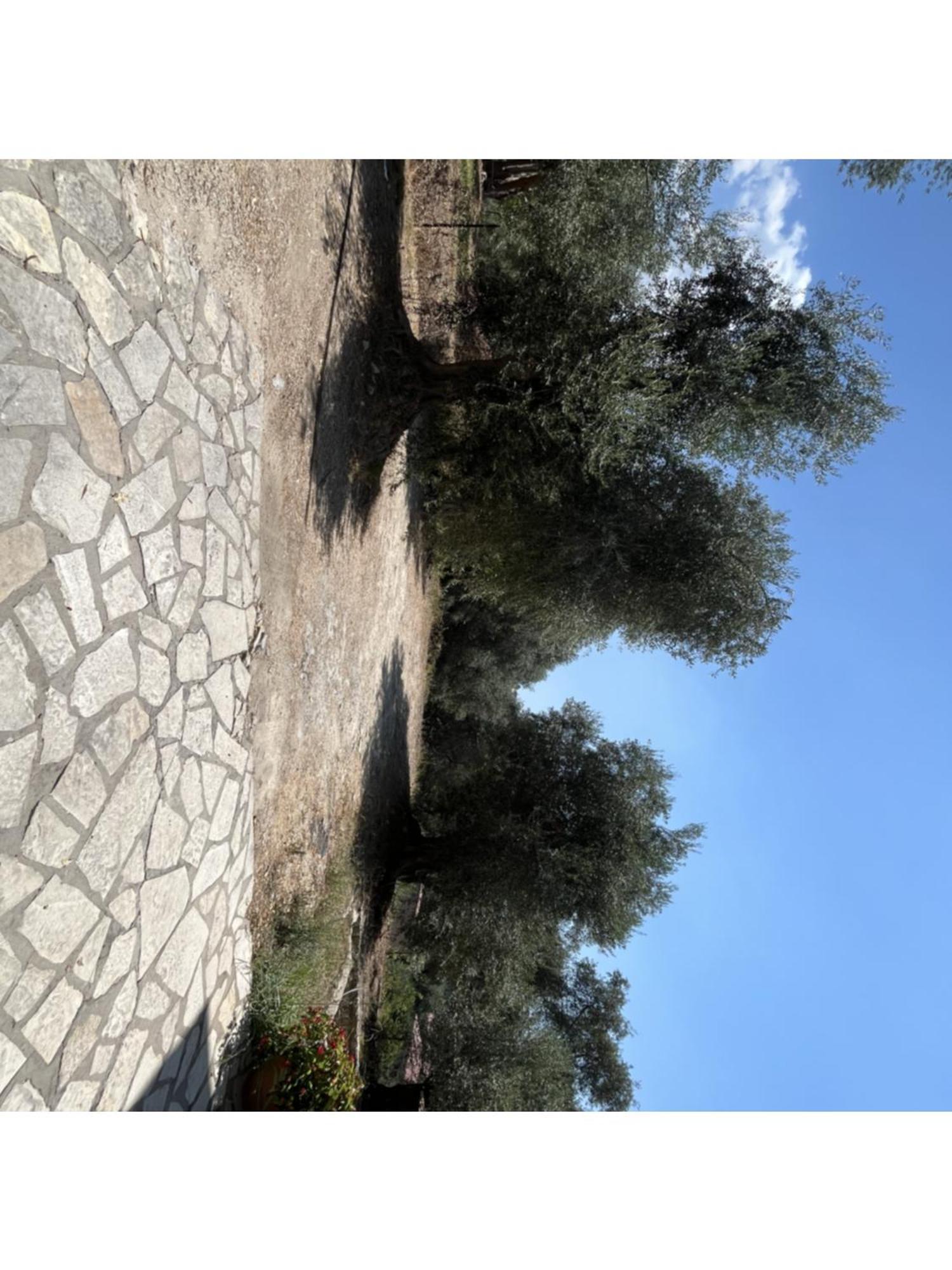 דירות פארגה Meltemi מראה חיצוני תמונה