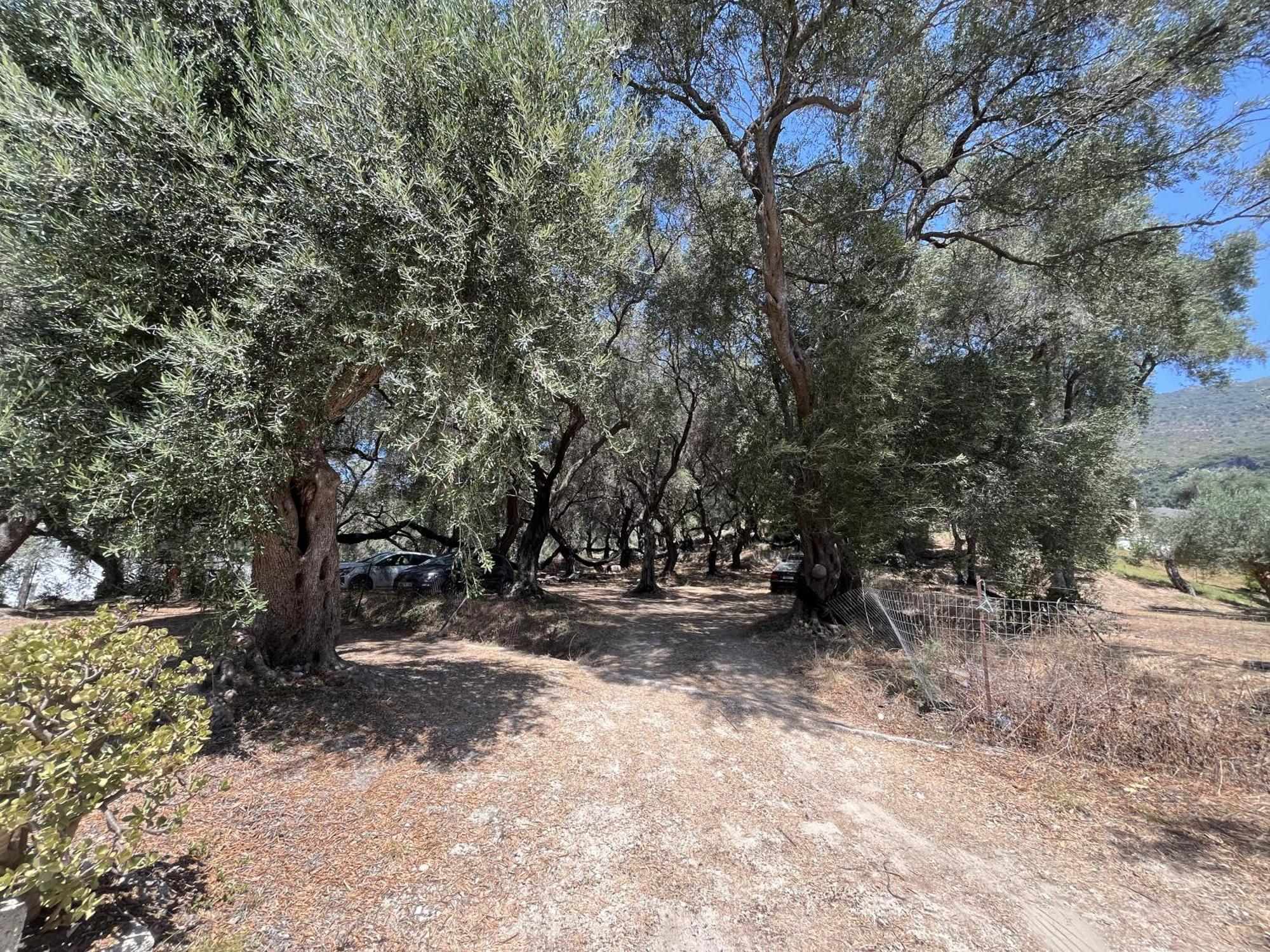 דירות פארגה Meltemi מראה חיצוני תמונה